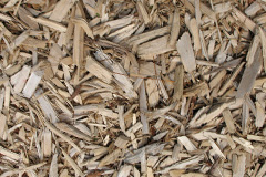 biomass boilers Honey Tye