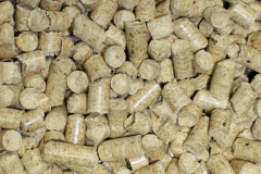 Honey Tye biomass boiler costs
